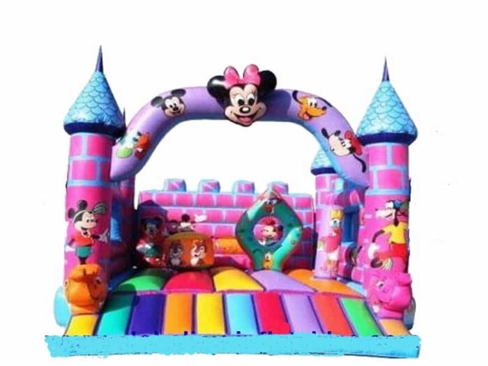 Fun in minnies boutique jumping castle | Australian Inflatables